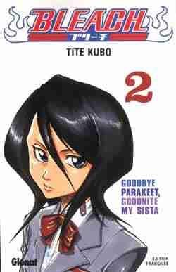 Bleach - Tome 2