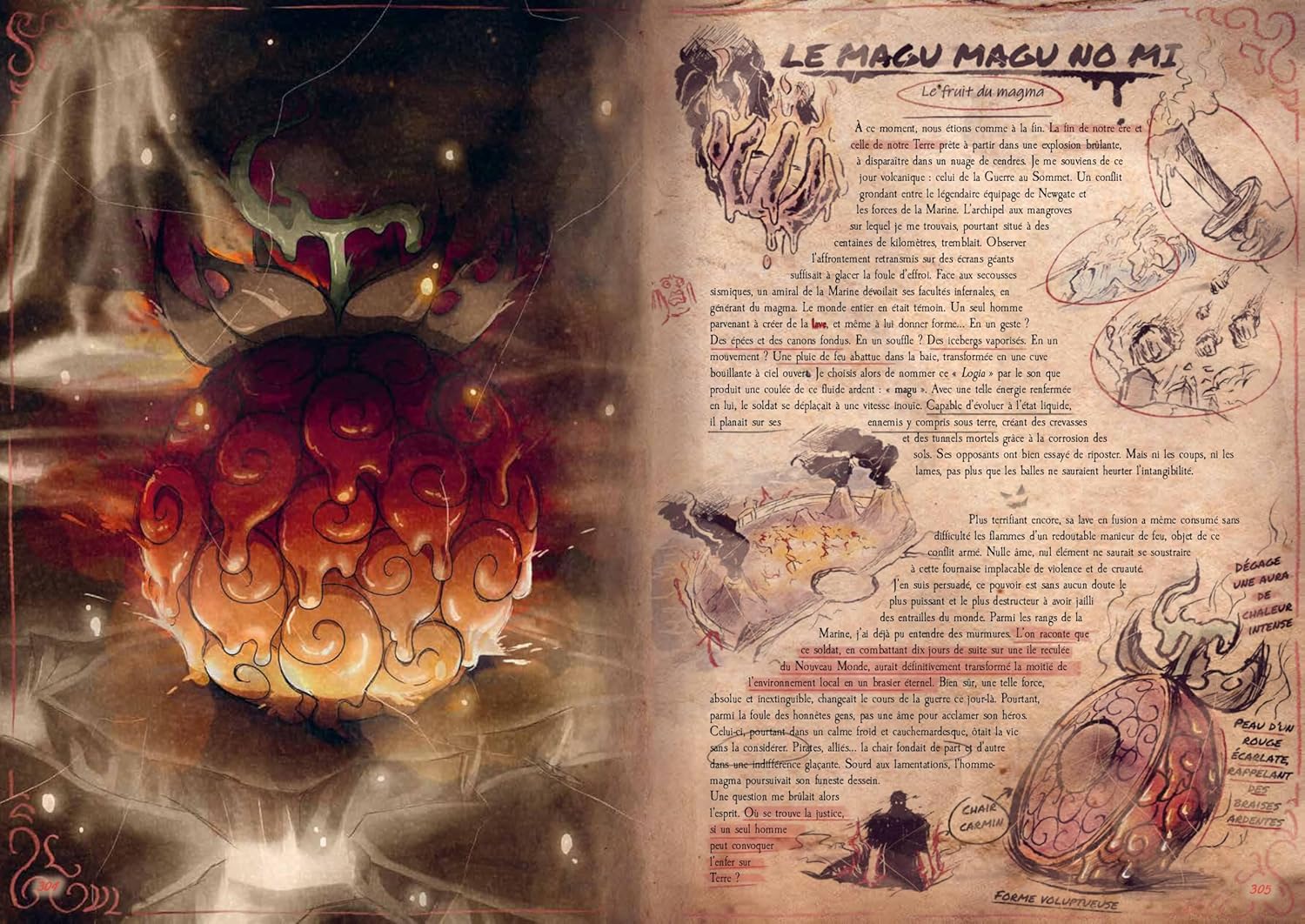 One Piece Fruits de Demon - L'encylopédie