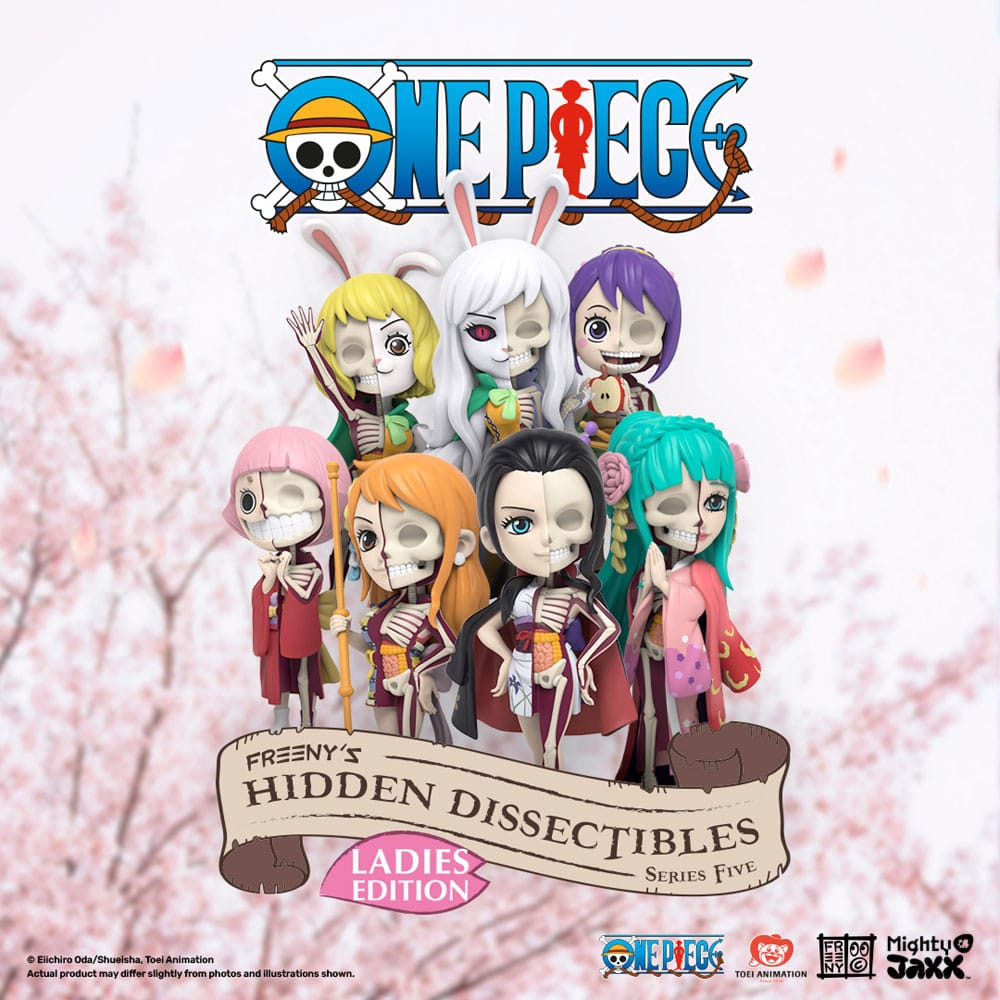 Blind Box Hidden Dissectibles Series 5 (Ladies Ed.) - One Piece